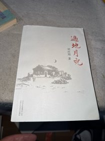 遍地月光