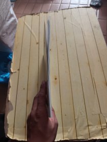 钢琴演奏小品：动物狂欢节 (含光盘)