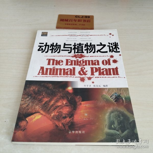 动物与植物之谜