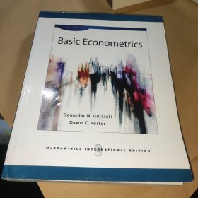 Basic Econometrics