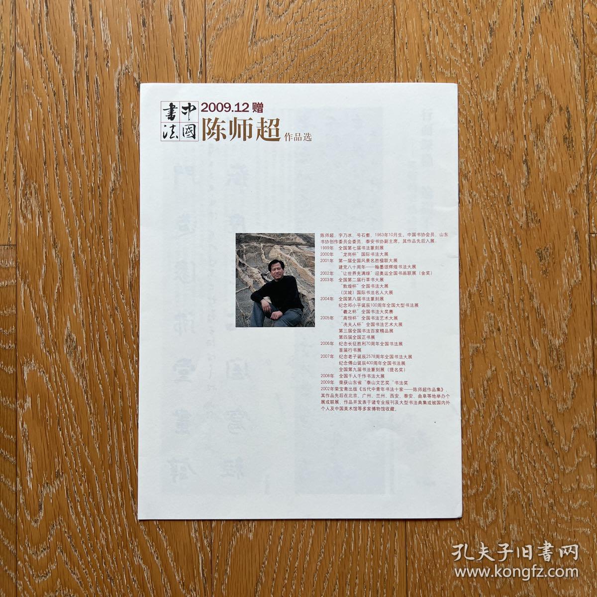中国书法2009年·陈师超作品选·中国文化艺术精品·汉字书法艺术盛宴
