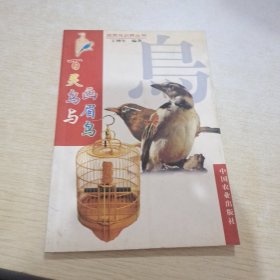 百灵鸟与画眉鸟