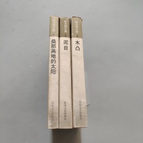 陆天明文集