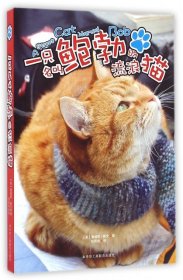 【9成新正版包邮】一只名叫鲍勃的流浪猫 (升级版)