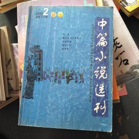 中篇小说选刊2010--2