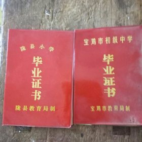 毕业证书 小学，中学