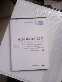 崛起中的革命老区新镇：江西省宁都县赖村镇经济社会发展调研