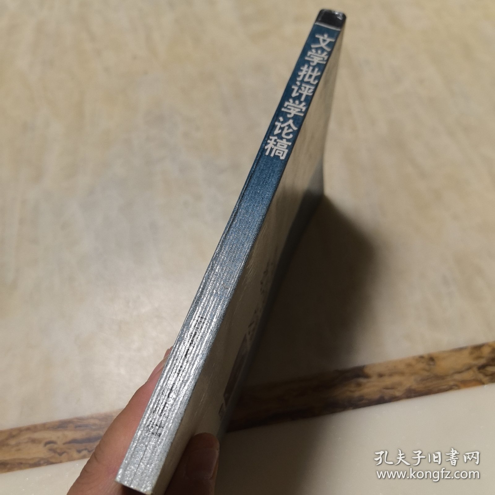 文学批评学论稿