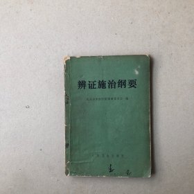 辨证施治纲要