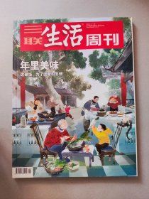 三联生活周刊 2021年第4-5期合刊 年里美味