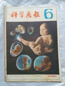 科学画报1982一6(b16开A221127）