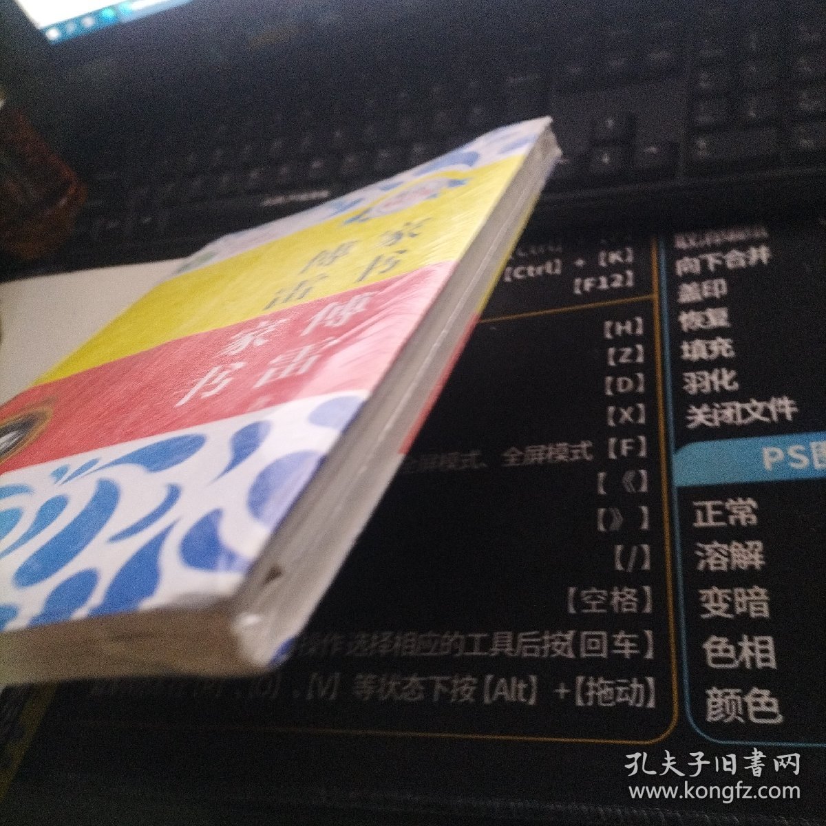 (全新正版包邮）傅雷家书 9787539960869