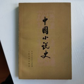 中国小说史（大32开）