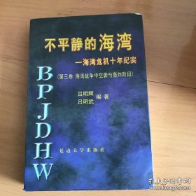 不平静的海湾-海湾危机十年纪实（第三卷 海湾战争中空袭与轰炸阶段）