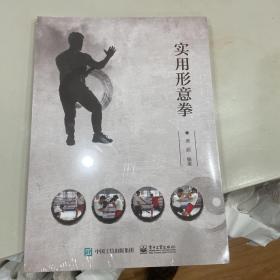 实用形意拳