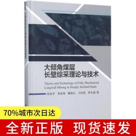大傾角煤層長壁綜采理論與技術(shù)