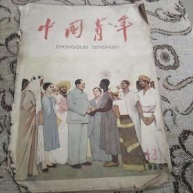 中国青年1960.13