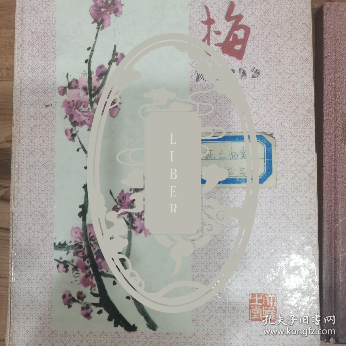 华西神经内科脑血管 疑难病例讨论2本，死亡病例讨论3本（袁光固，周树舜，罗祖明，周东等著名医学专家参与）