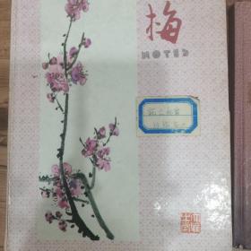 华西神经内科脑血管 疑难病例讨论2本，死亡病例讨论3本（袁光固，周树舜，罗祖明，周东等著名医学专家参与）