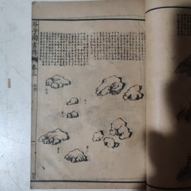 芥子園画傅初集一（画学淺说）二、（树谱）三（石谱）四、（人物、房屋、亭台楼阁）五、（山水谱）合一册