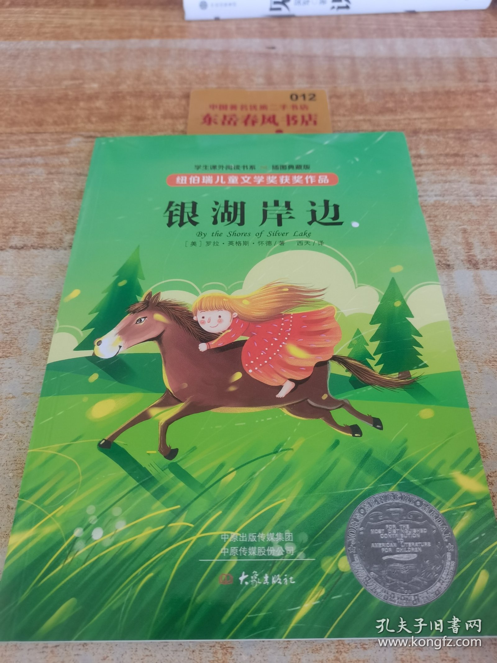 纽伯瑞儿童文学奖作品（国际大奖） 银湖岸边