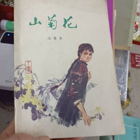 山菊花