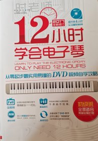 12小时学会电子琴：从零起步最实用易懂的DVD视频自学攻略 (不含DVD)