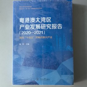 粤港澳大湾区产业发展研究报告（2020—2021）——面向“十四五”时期的新兴产业