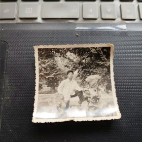 1张80年代黑白老照片： 武汉汉口中山公园，假山，青年男性