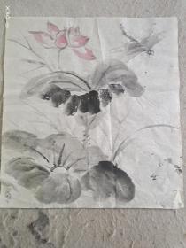 荷花，