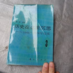 历史在这里沉思3