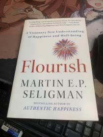 Flourish: A Visionary New Understanding of Happiness and Well-Being