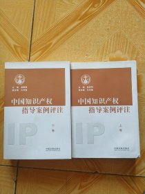 中国知识产权指导案例评注（上下两册合售）