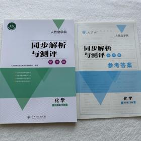 2023初中人教金学典同步解析与测评学考练化学9/九年级下册附答案