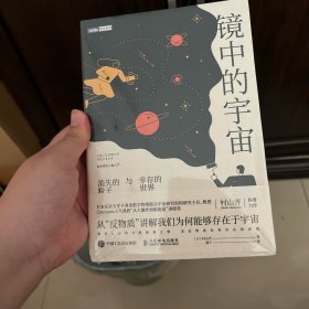 镜中的宇宙消失的粒子与幸存的世界 镜中的宇宙