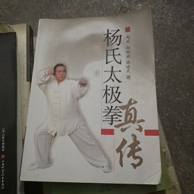 杨氏太极拳真传 A一6