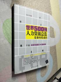 世界500强人力资源总监是如何炼成的：从实习生到CHO的故事