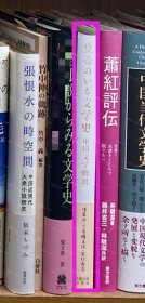 价可议 皇帝 文学史 中国文学概说 57zdwzdw 皇帝のいる文学史 中国文学概説