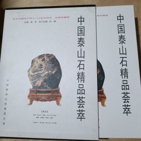 中国泰山石精品荟萃 91-263