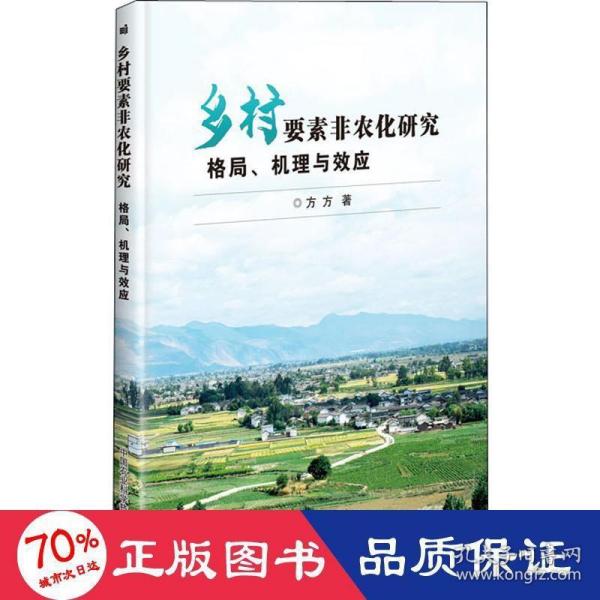 乡村要素非农化研究—格局、机理与效应