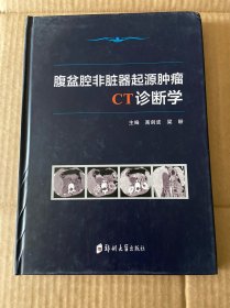 腹盆腔非脏器起源肿瘤C T诊断学