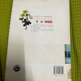 中国现代文学大师精品集丛书--鲁迅精品集