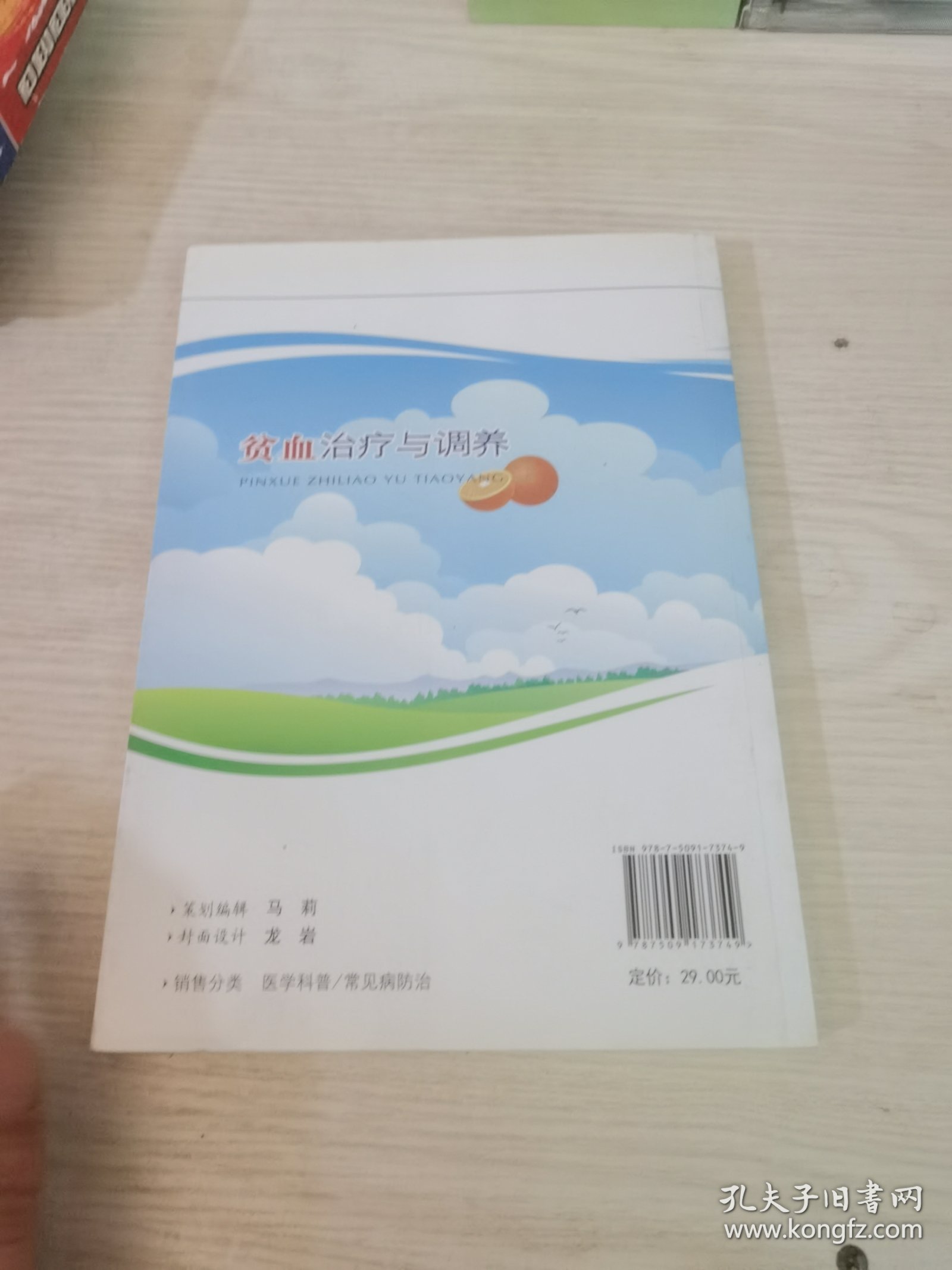贫血治疗与调养.中西医治疗与调养丛书