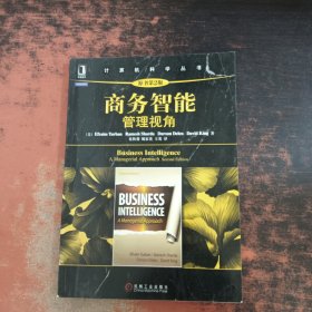 商务智能管理视角（原书第2版）