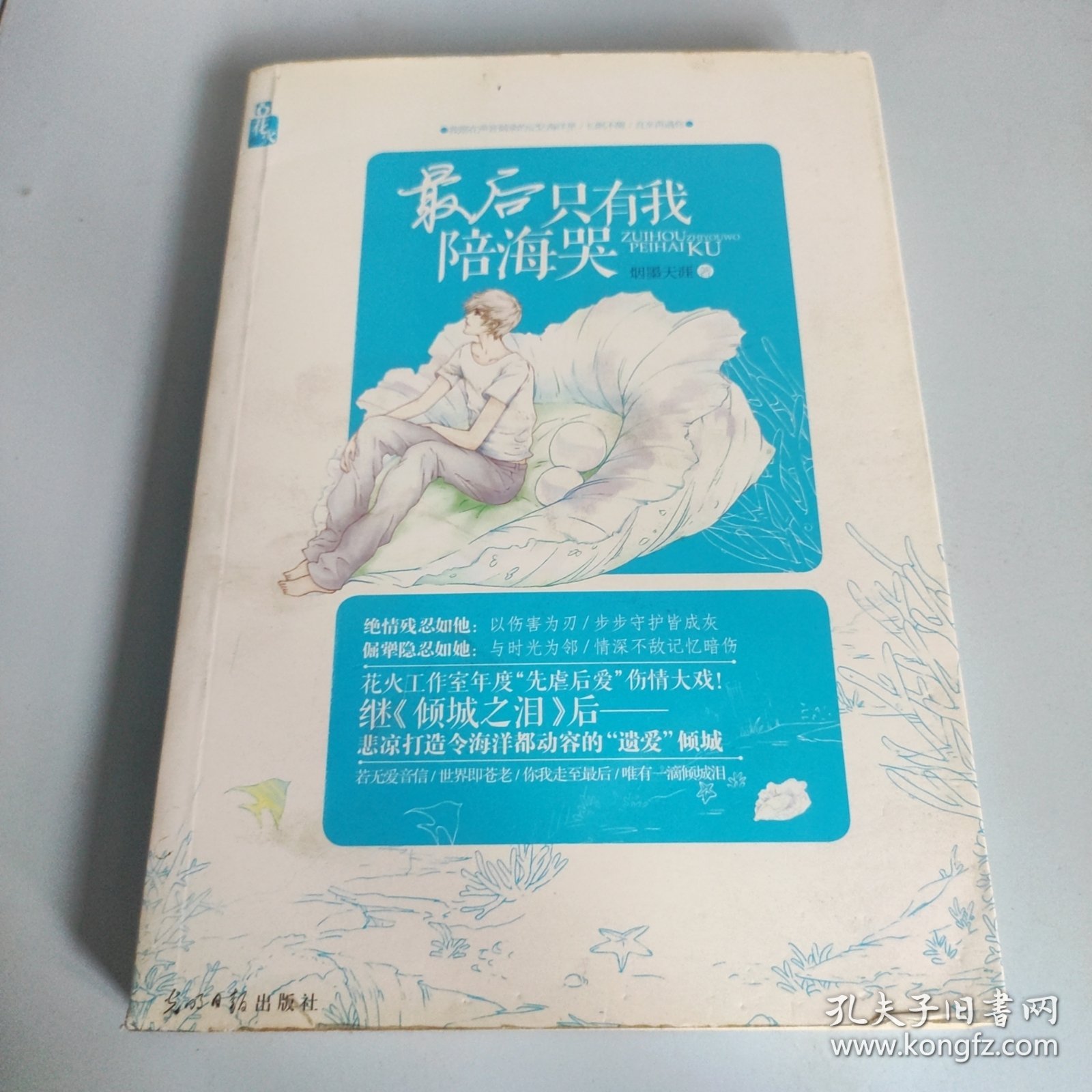 花火：最后只有我陪海哭