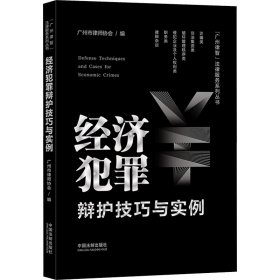 经济犯罪辩护技巧与实例