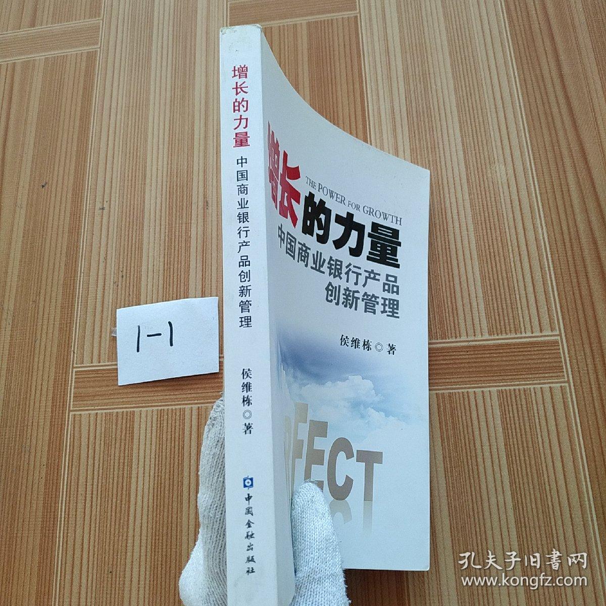 增长的力量：中国商业银行产品创新管理