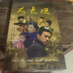 vcd大长恒套装
