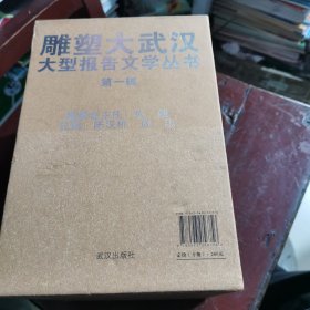 巜雕塑大武汉》大型报告文学丛书第一辑（包邮）内页干净，共10本合售