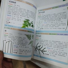 北方药用植物：近600种中国北方药用植物的彩色图鉴